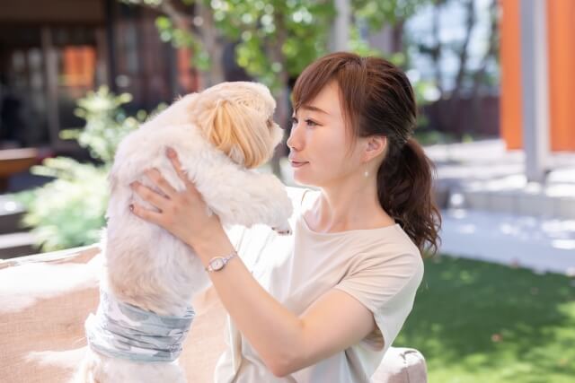 犬と触れ合う女性のイメージ画像
